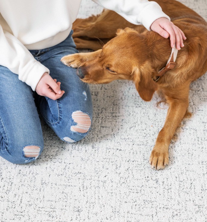 Pet friendly floor | Square Yard Carpet