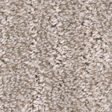Carpet | Sqaure Yard Carpet
